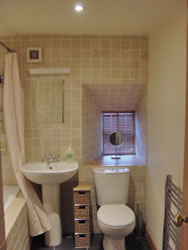 Apartment 2 shower and bathroom