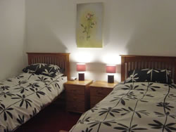 The twin Bedroom in Kingston Self Catering